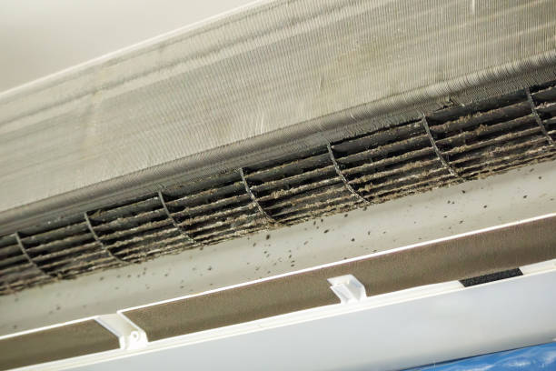 Best Affordable Air Duct Cleaning  in Dorneyville, PA